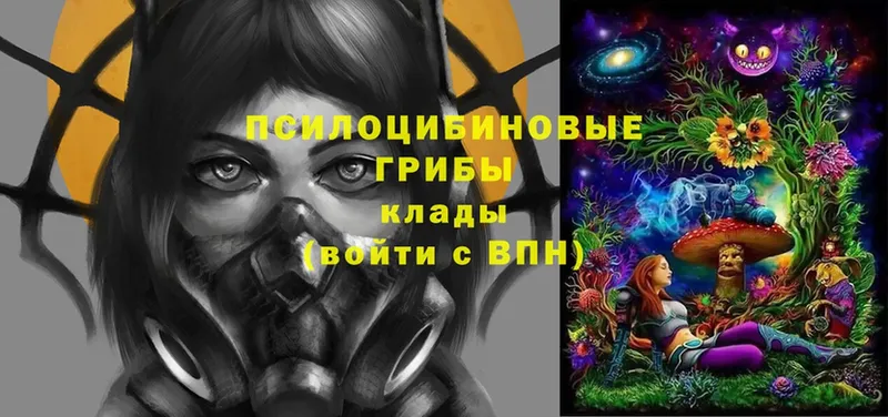 Псилоцибиновые грибы ЛСД Звенигово